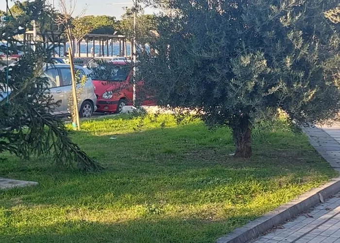 Apartman Amazon Price Szaloniki