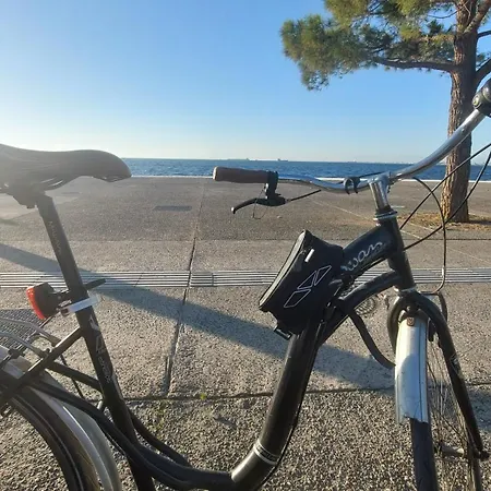 Appartamento Amazon Price *