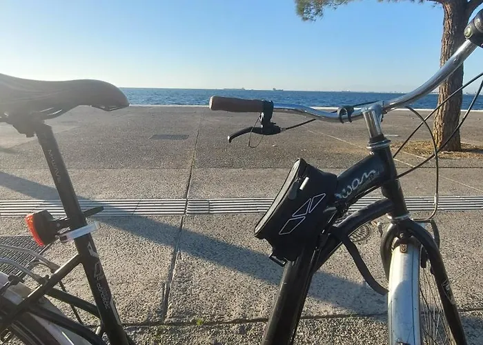 Apartament Amazon Price *